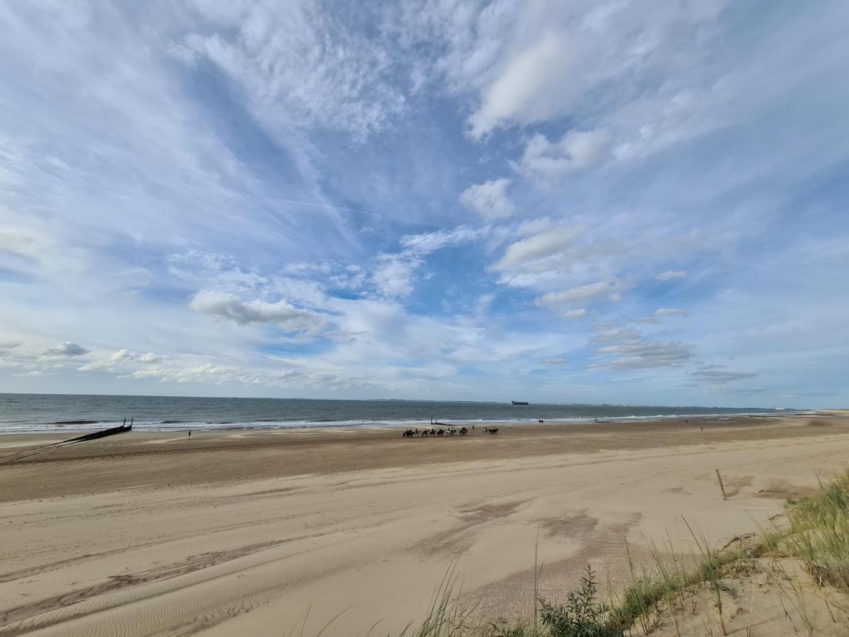 Kustverhuur, Park Schoneveld, Zeester 64 Breskens Esterno foto